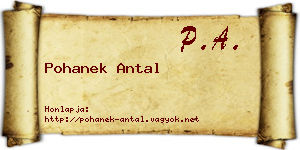 Pohanek Antal névjegykártya
